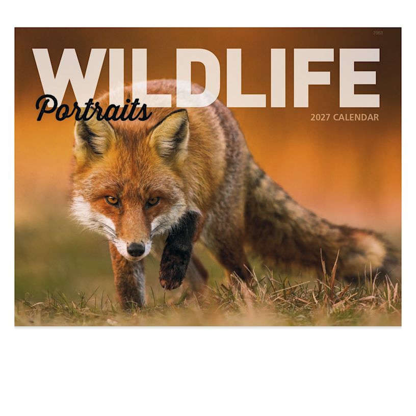 Example 3 of selected product