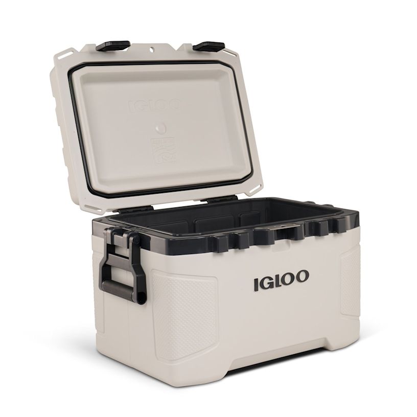 Example 8 of selected product