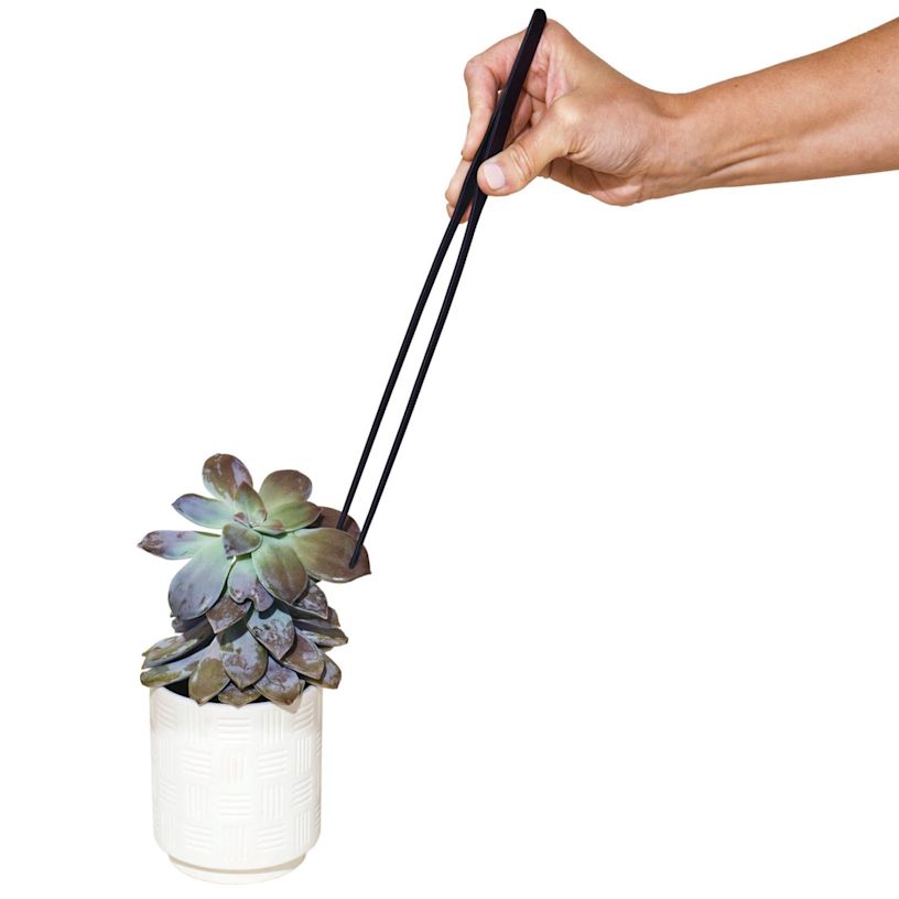 Example 2 of selected product