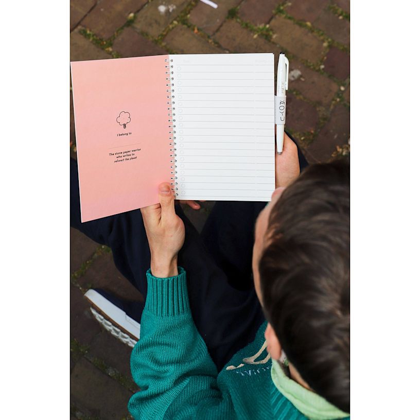 Eksempel 4 på det valgte produkt