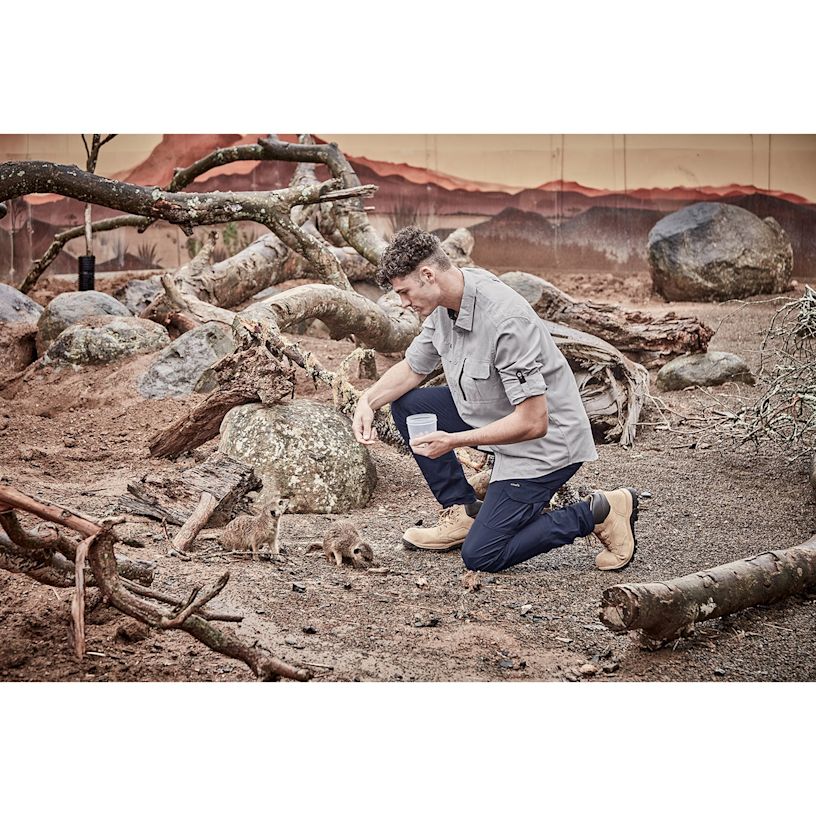 Example 6 of selected product