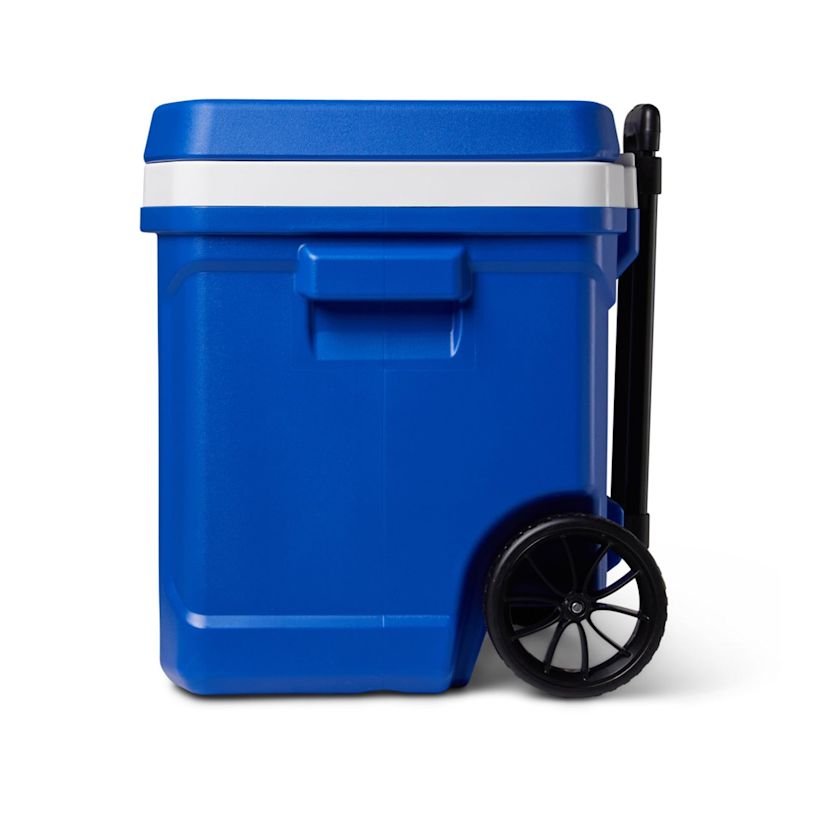 Example 3 of selected product