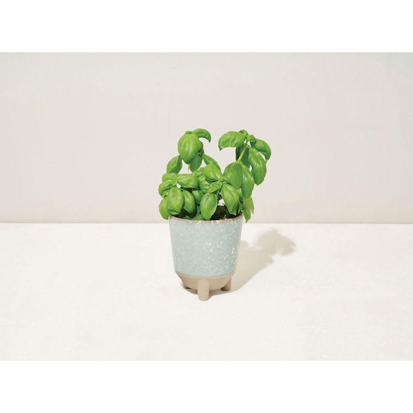 Example 3 of selected product