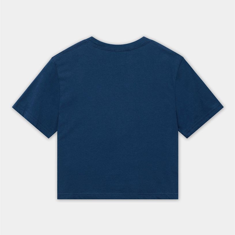 Example 5 of selected product