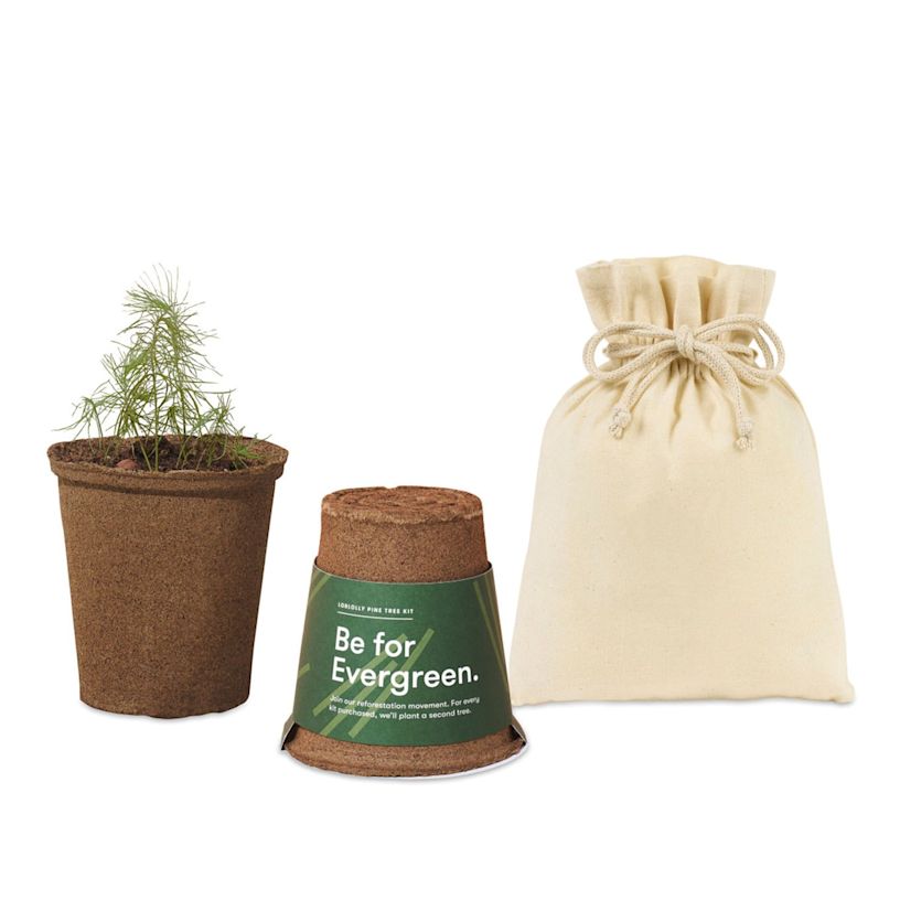 Example 2 of selected product