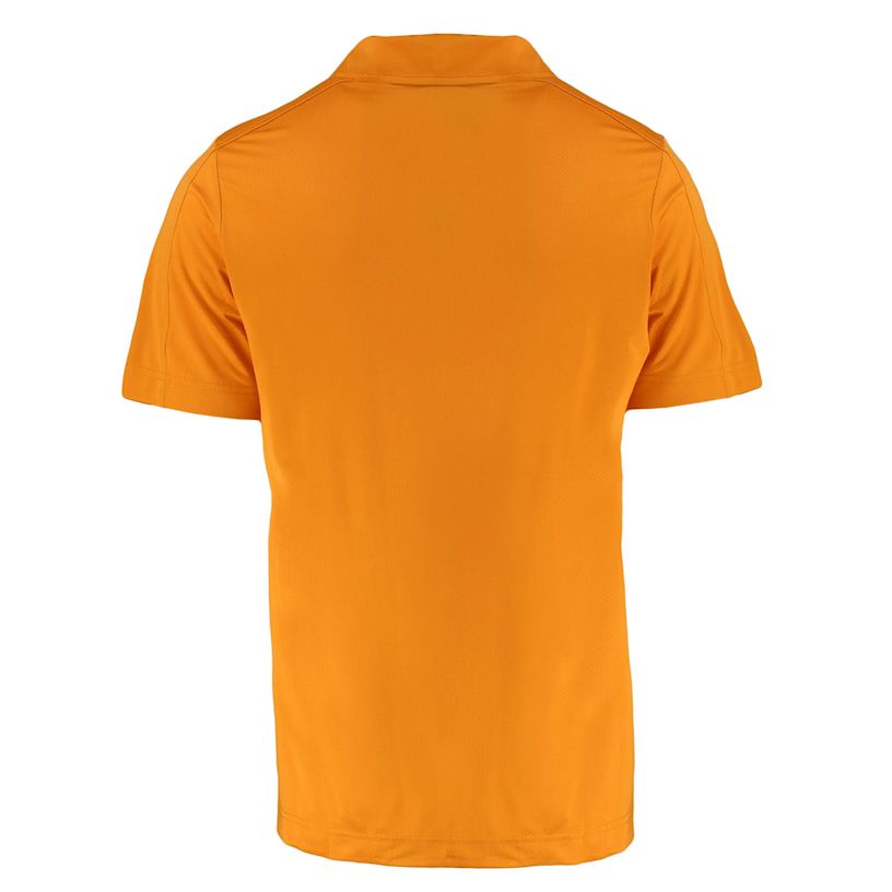 Example 2 of selected product