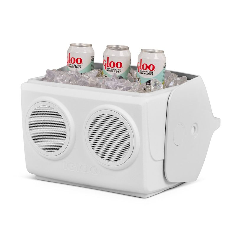 Example 6 of selected product