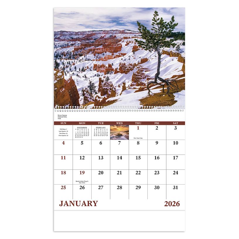 Example 4 of selected product