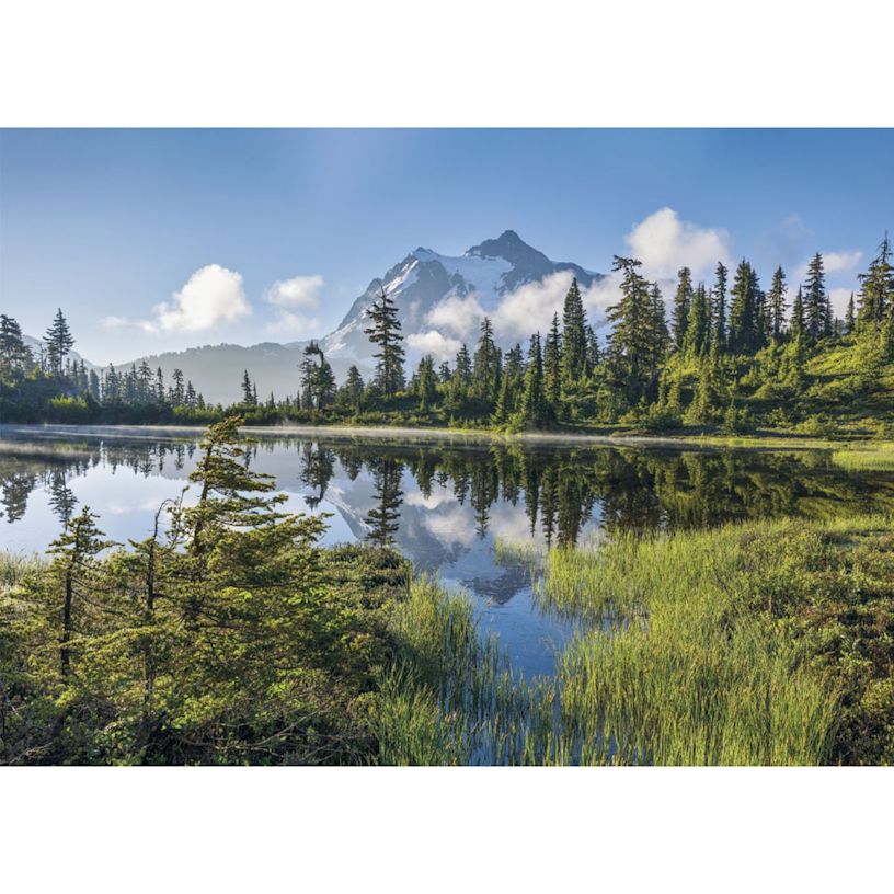 Example 7 of selected product