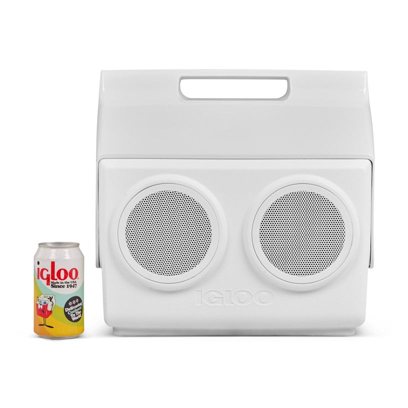 Example 3 of selected product