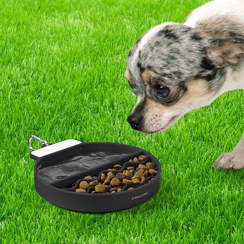 Example 5 of selected product