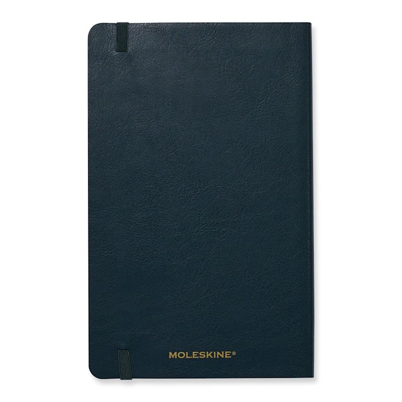 Example 2 of selected product