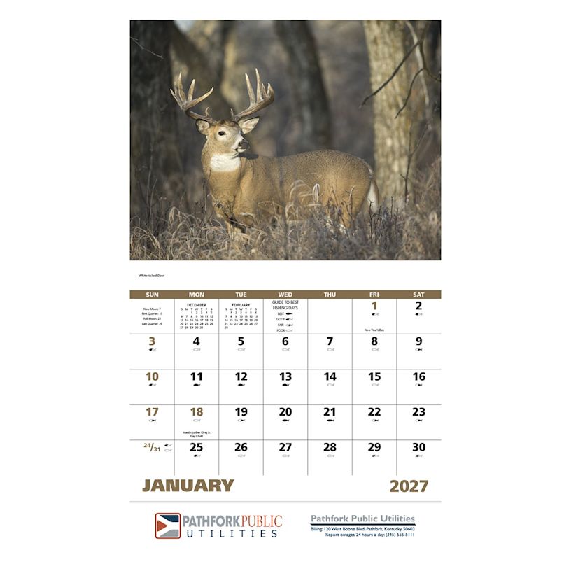 Example 2 of selected product