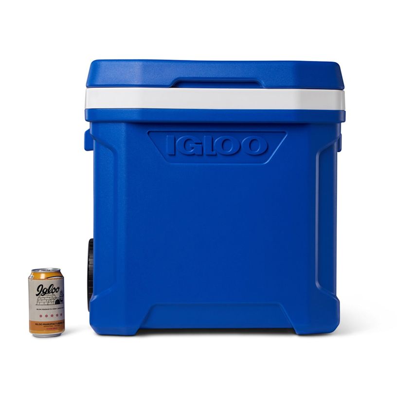 Example 6 of selected product