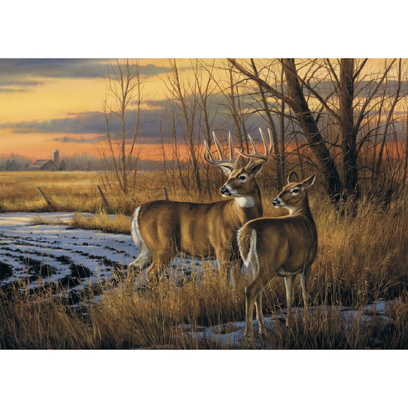 Example 4 of selected product