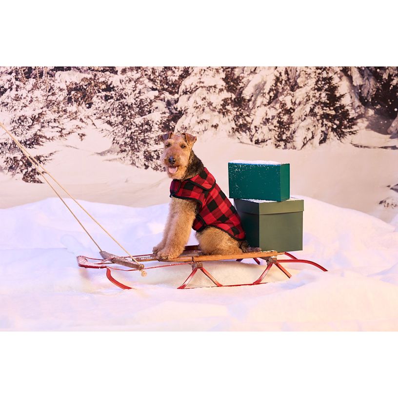 Ejemplo 5 del producto seleccionado