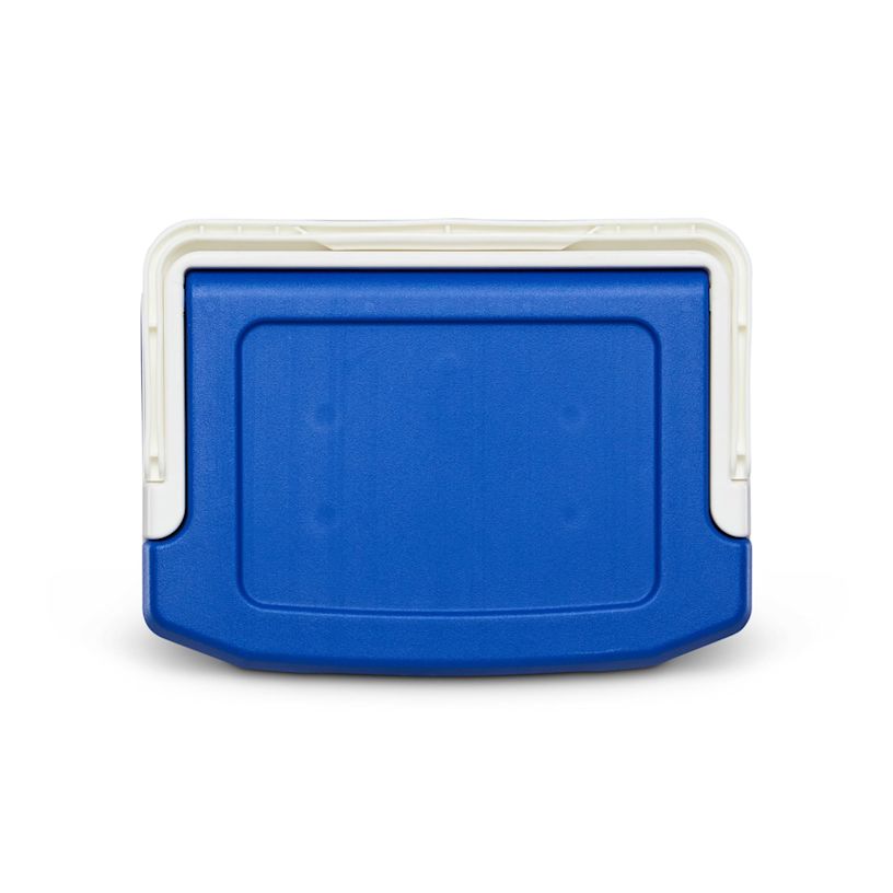 Example 11 of selected product