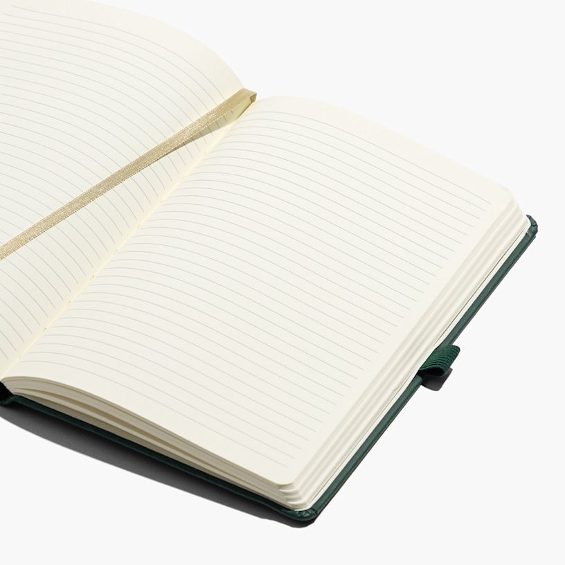 Ejemplo 5 del producto seleccionado