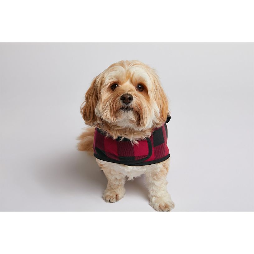 Ejemplo 9 del producto seleccionado