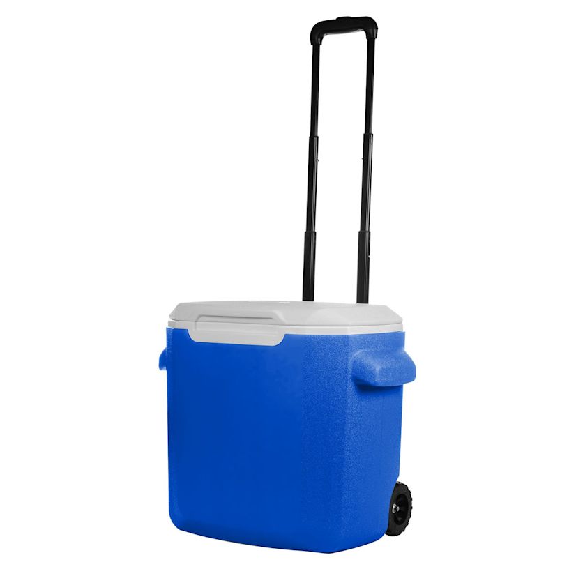 Example 3 of selected product