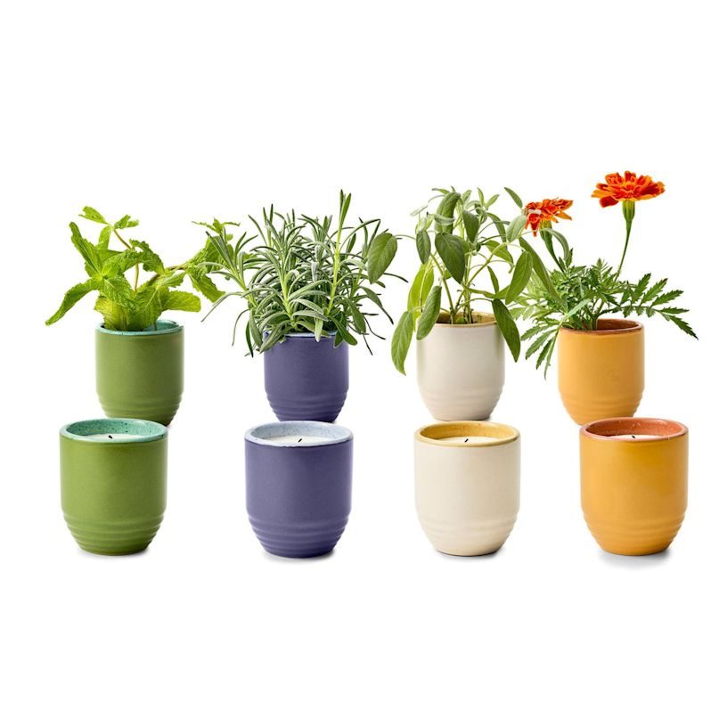 Example 10 of selected product