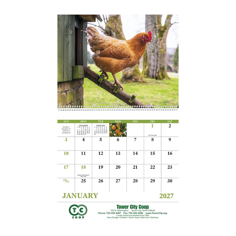 Example 3 of selected product