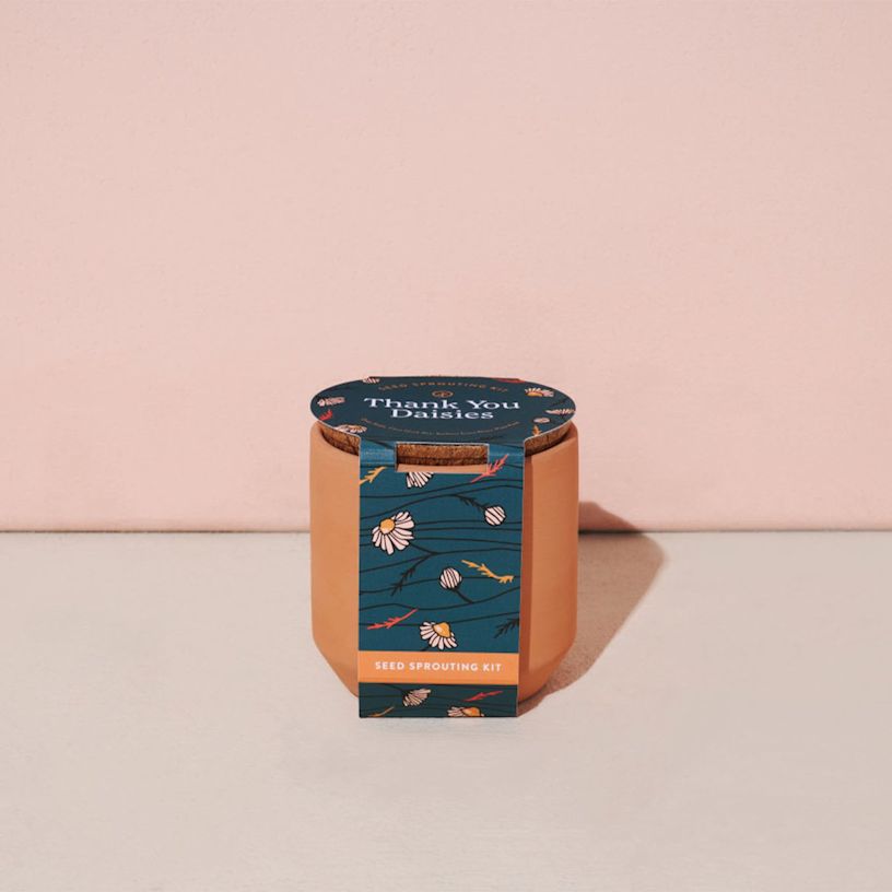 Example 4 of selected product