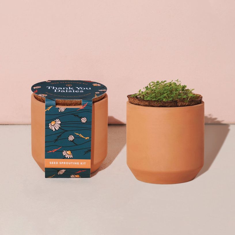 Example 2 of selected product