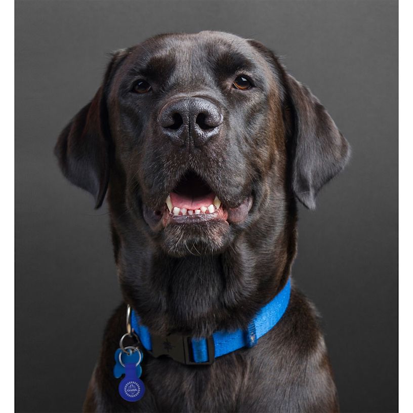 Example 3 of selected product