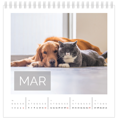 Exemplo de página 3, Calendários de mesa personalizados, opção 15