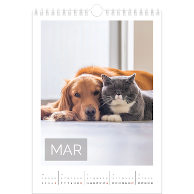 Exemplo de página 3, Calendários de parede, opção 12