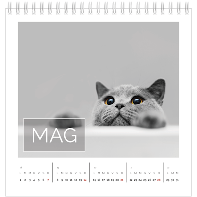 Esempio di pagina 5, Calendari da tavolo personalizzati, opzione 9