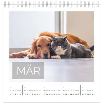 Beispiel für Seite 3, Tischkalender 2025, Option 9