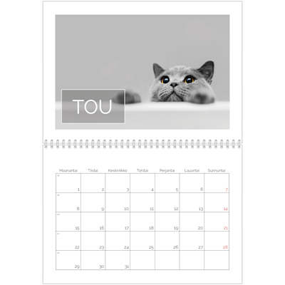 Esimerkki sivusta 5, Kiiltävät valokuvakalenterit, vaihtoehto 19