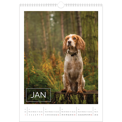 Voorbeeld van pagina 1, Wandkalenders 2026, optie 16