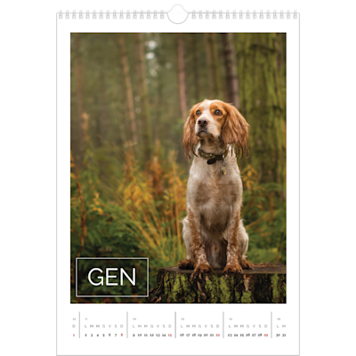 Esempio di pagina 1, Calendari da parete, opzione 15