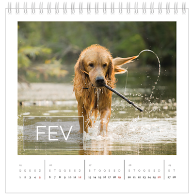 Exemplo de página 2, Calendários de mesa personalizados, opção 15