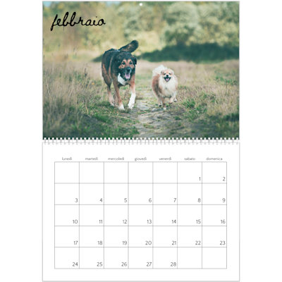 Esempio di pagina 2, Calendari da parete, opzione 5