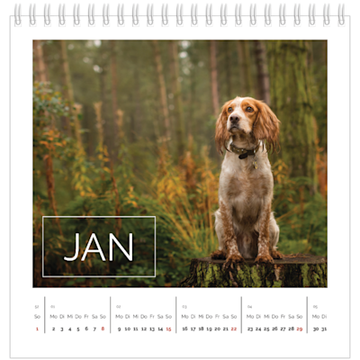 Beispiel für Seite 1, Tischkalender 2025, Option 9