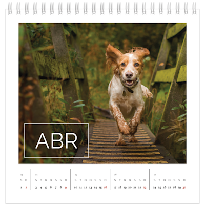 Exemplo de página 4, Calendários de mesa personalizados, opção 15