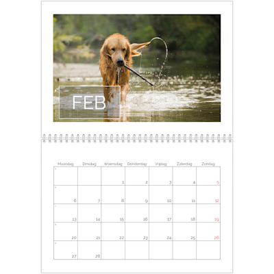 Voorbeeld van pagina 2, Wandkalenders 2026, optie 19