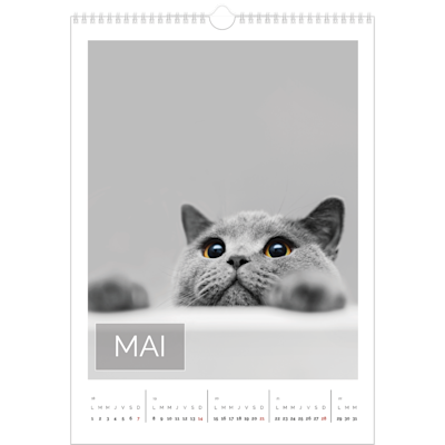 Exemple de page 5, Calendrier mural, option 18
