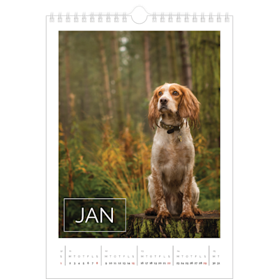 Eksempel på side 1, Vægkalendere, variant 12