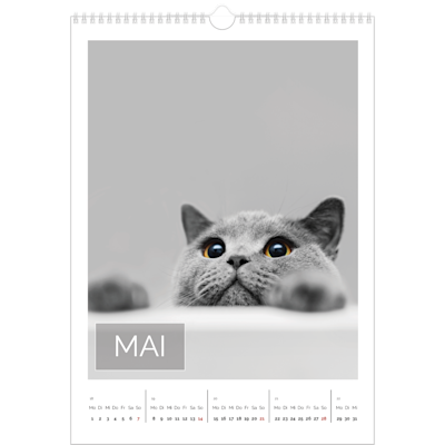 Beispiel für Seite 5, Wandkalender 2026, Option 18