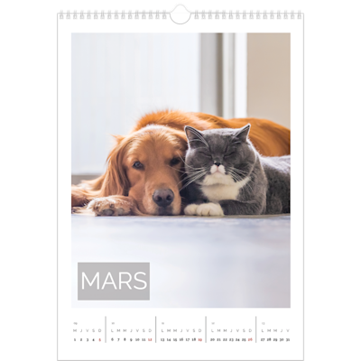 Exemple de page 3, Calendrier mural, option 18