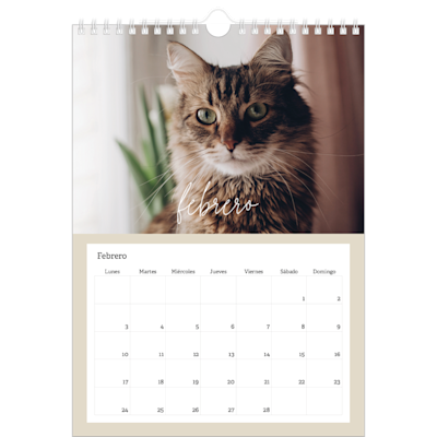 Ejemplo de página 2, Calendarios de pared personalizados, opción 23