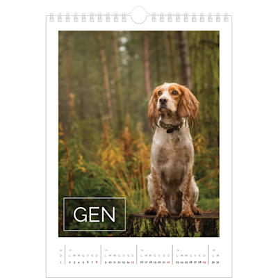 Esempio di pagina 1, Calendari da parete, opzione 14