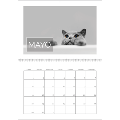 Ejemplo de página 5, Calendarios de pared, opción 7