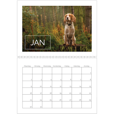 Voorbeeld van pagina 1, Wandkalenders 2026, optie 8