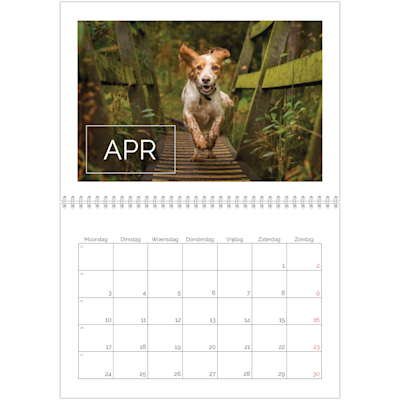 Voorbeeld van pagina 4, Wandkalenders 2026, optie 19
